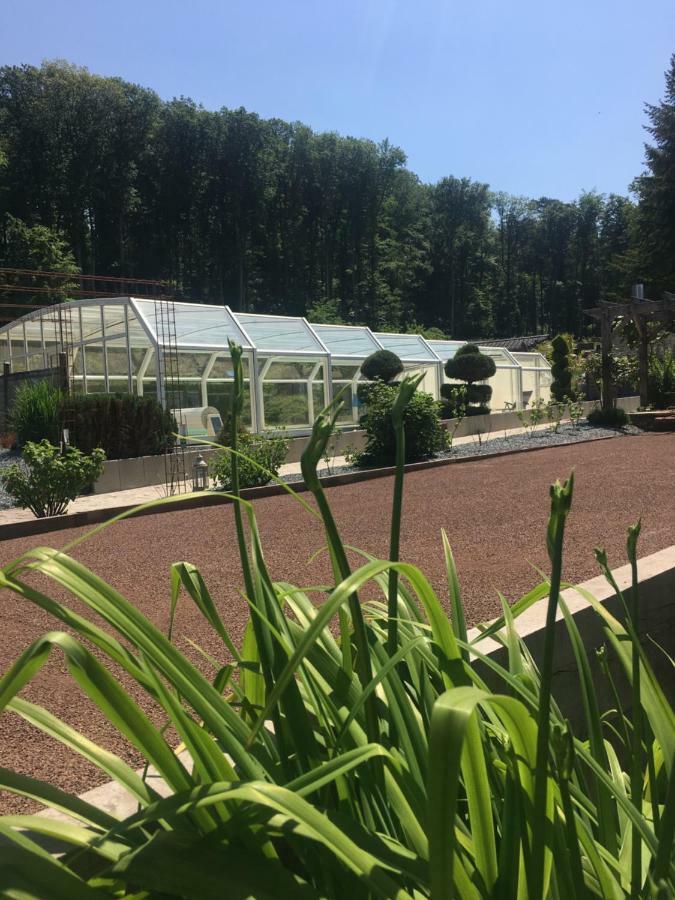Logis Hotel Domaine Du Moulin Saint-Avold Εξωτερικό φωτογραφία